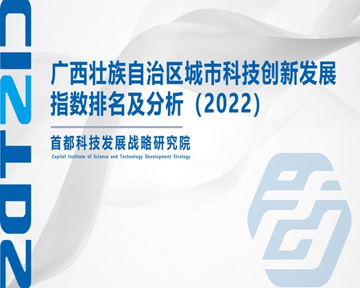 插进去蹂躏免费视频播放【成果发布】广西壮族自治区城市科技创新发展指数排名及分析（2022）